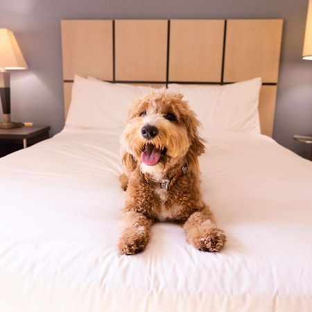 Sonesta Simply Suites Columbus Airport Gahanna Zewnętrze zdjęcie
