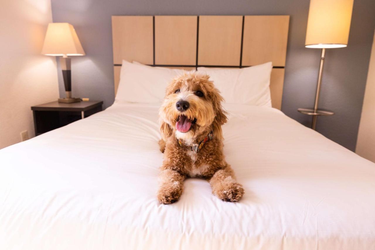 Sonesta Simply Suites Columbus Airport Gahanna Zewnętrze zdjęcie